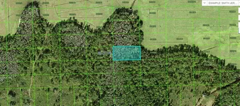 Commonwealth Avenue N Polk City FL 33868