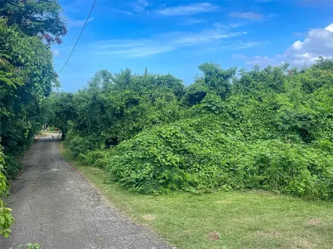 30 Calle Alta Vieques PR 00765