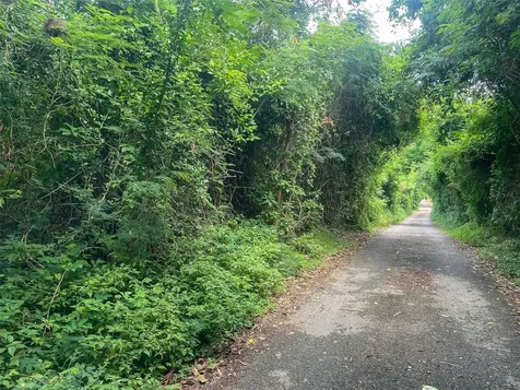 30 Calle Alta Vieques PR 00765