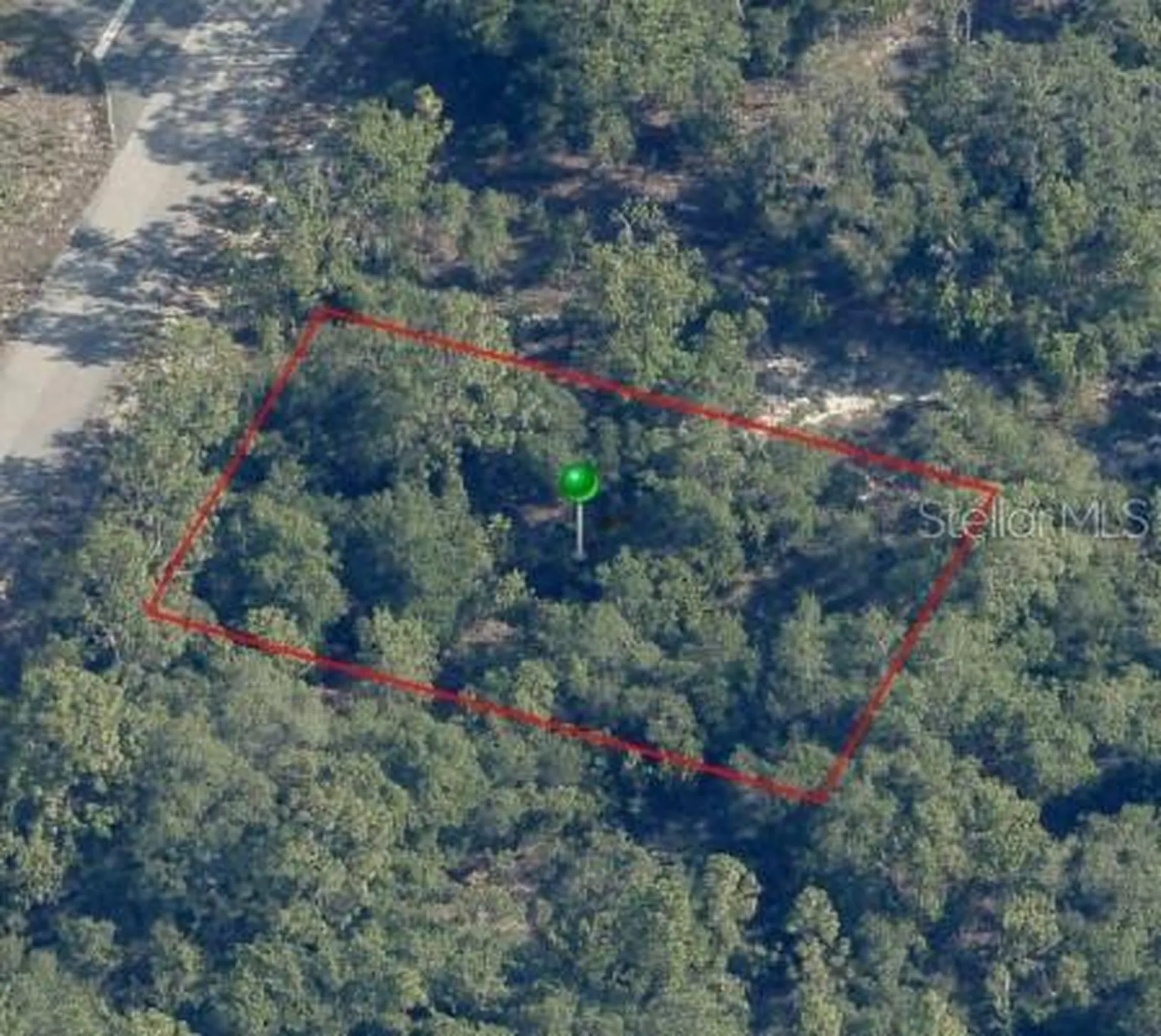 9541 N Wallace Way Citrus Springs FL 34433