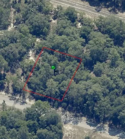 9541 N Wallace Way Citrus Springs FL 34433