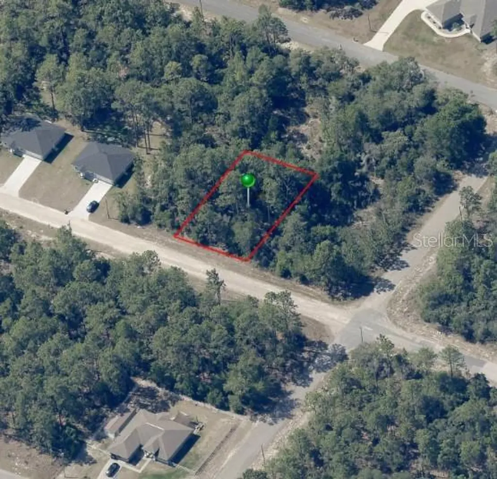 8884 N Vienna Drive Dunnellon FL 34433