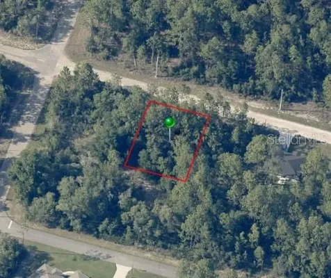 8884 N Vienna Drive Dunnellon FL 34433