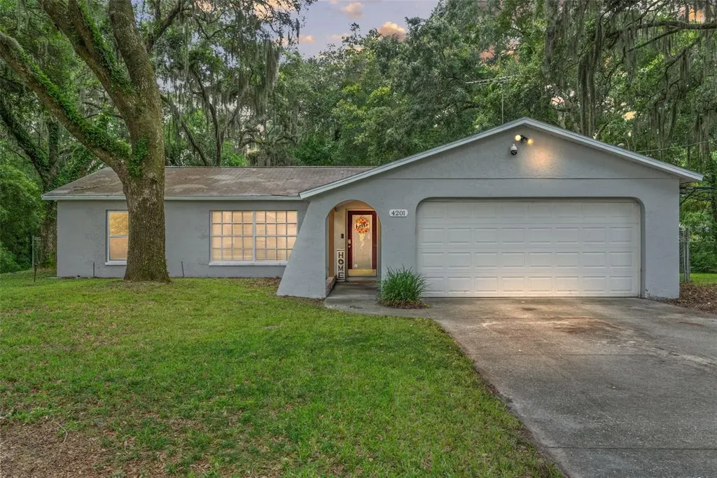4201 Tacoma Avenue Spring Hill FL 34609