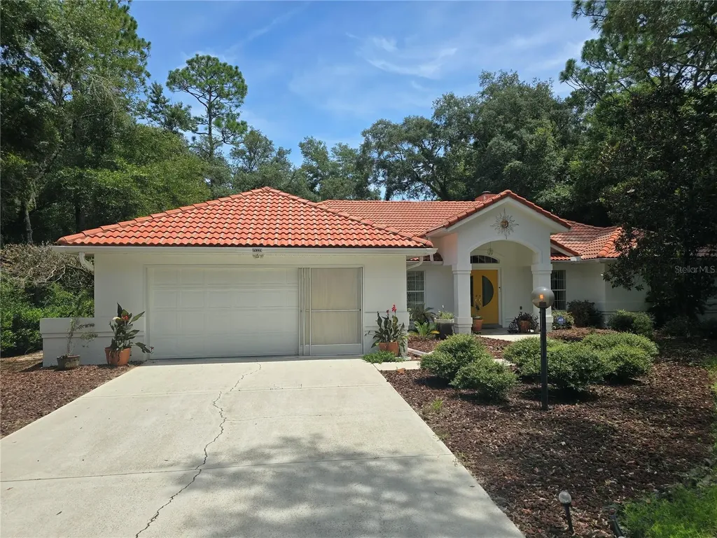 19339 SW 93rd Lane Road Dunnellon FL 34432
