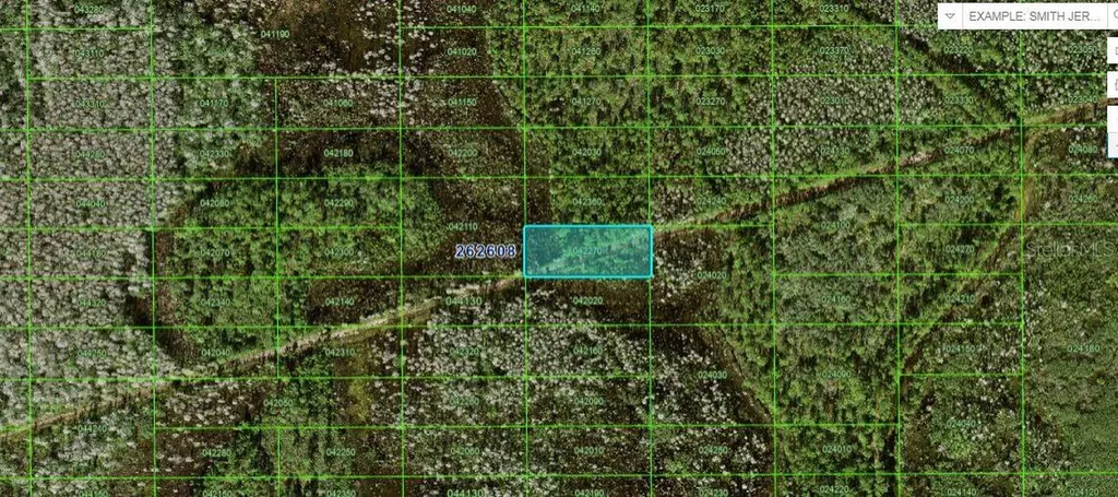 N/a Polk City FL 33868