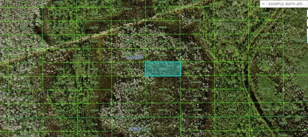 N/a Polk City FL 33868