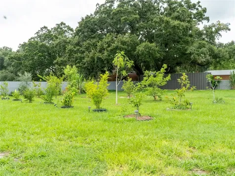 1817 Demastus Lane Ocoee FL 34761