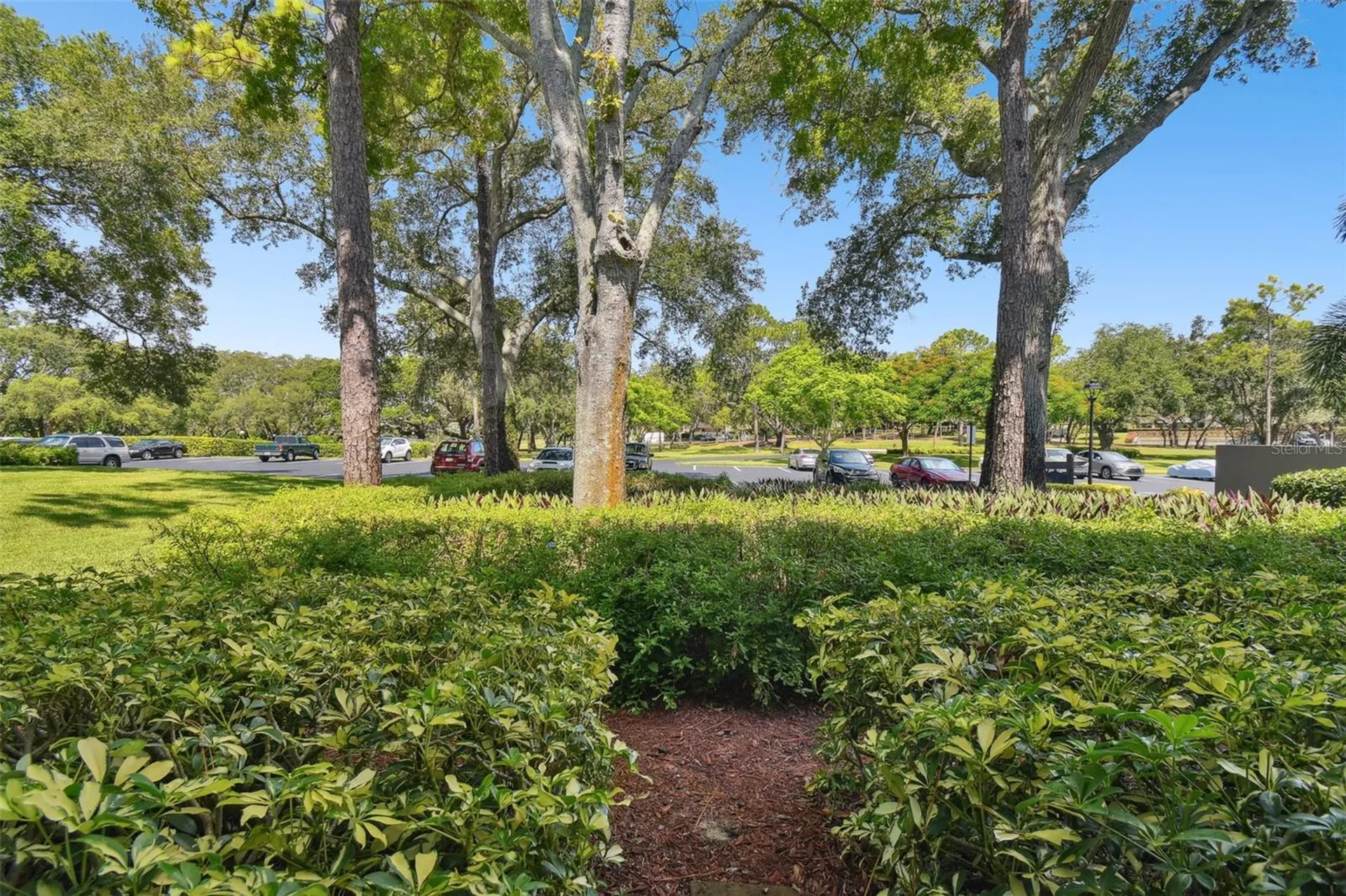 36750 Us Highway 19 Palm Harbor FL 34684