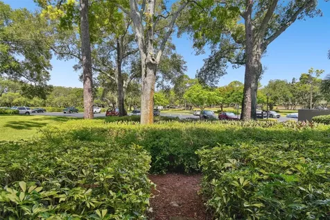 36750 Us Highway 19 Palm Harbor FL 34684