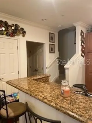 3014 Bella Vista Drive Davenport FL 33897