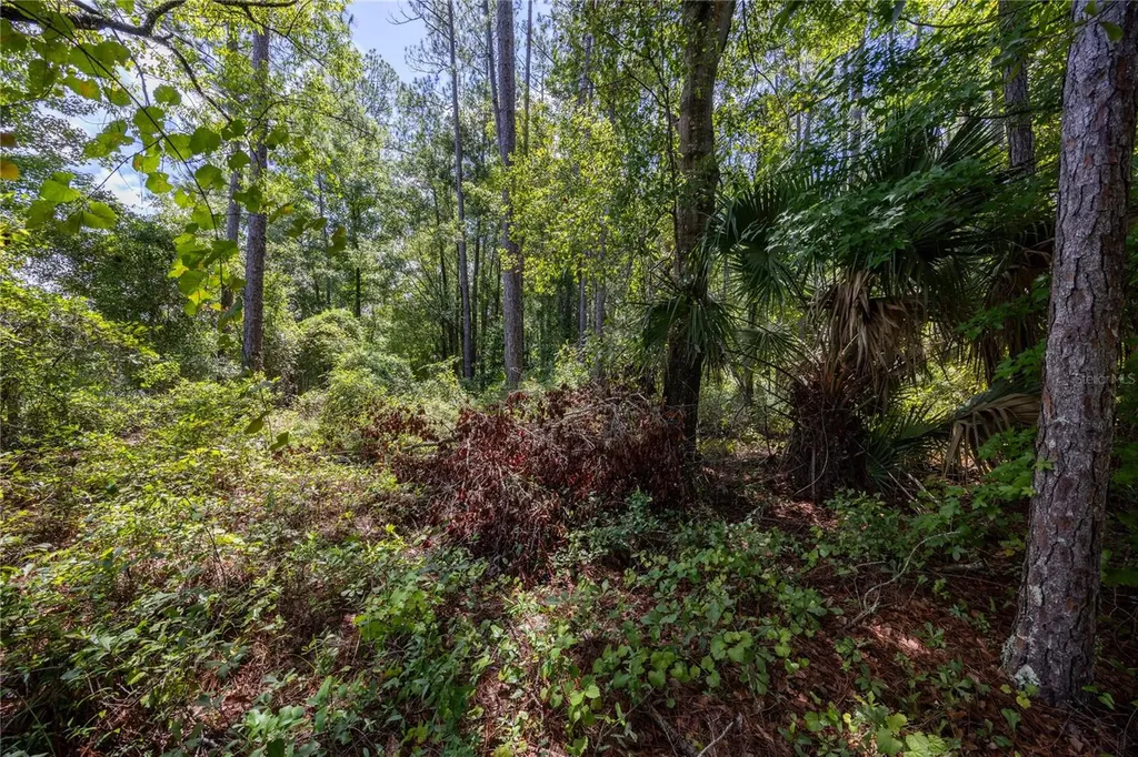 0 SE Hawthorne Road Hawthorne FL 32640