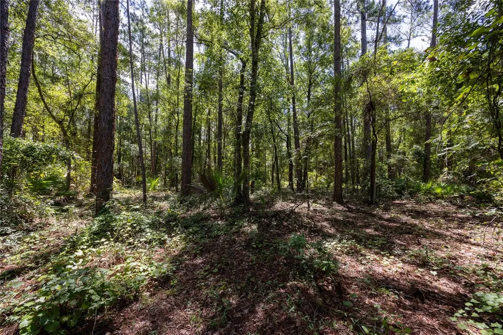 0 SE Hawthorne Road Hawthorne FL 32640