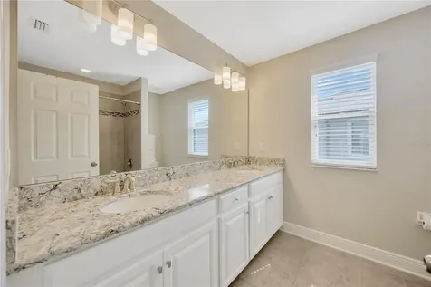 8085 Lago Mist Way Wesley Chapel FL 33545