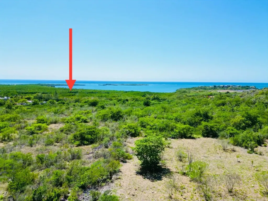 El Pitirre Guanica PR 00653
