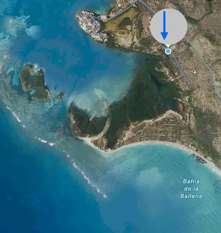 El Pitirre Guanica PR 00653