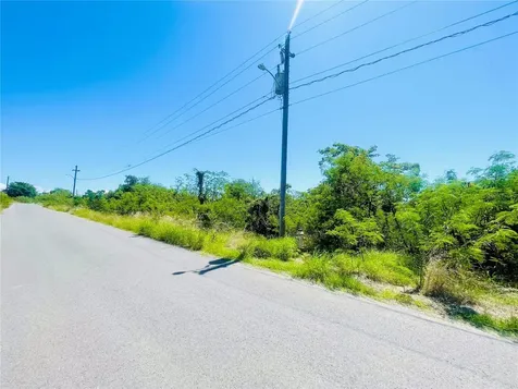 El Pitirre Guanica PR 00653