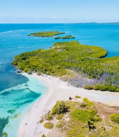 El Pitirre Guanica PR 00653