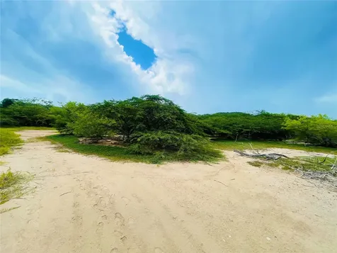 El Pitirre Guanica PR 00653