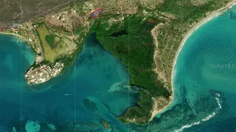 El Pitirre Guanica PR 00653