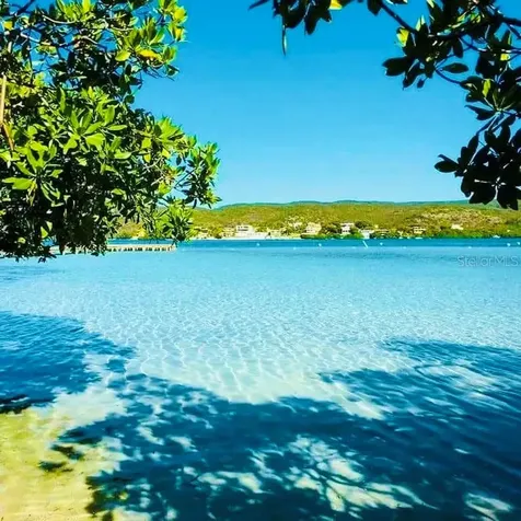 El Pitirre Guanica PR 00653