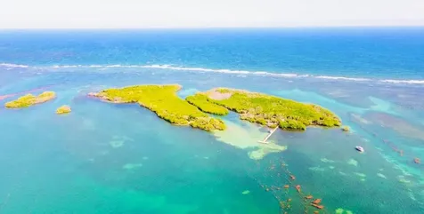 El Pitirre Guanica PR 00653