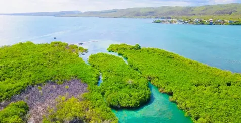 El Pitirre Guanica PR 00653