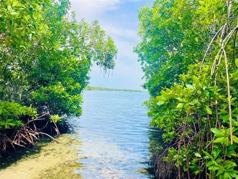 El Pitirre Guanica PR 00653