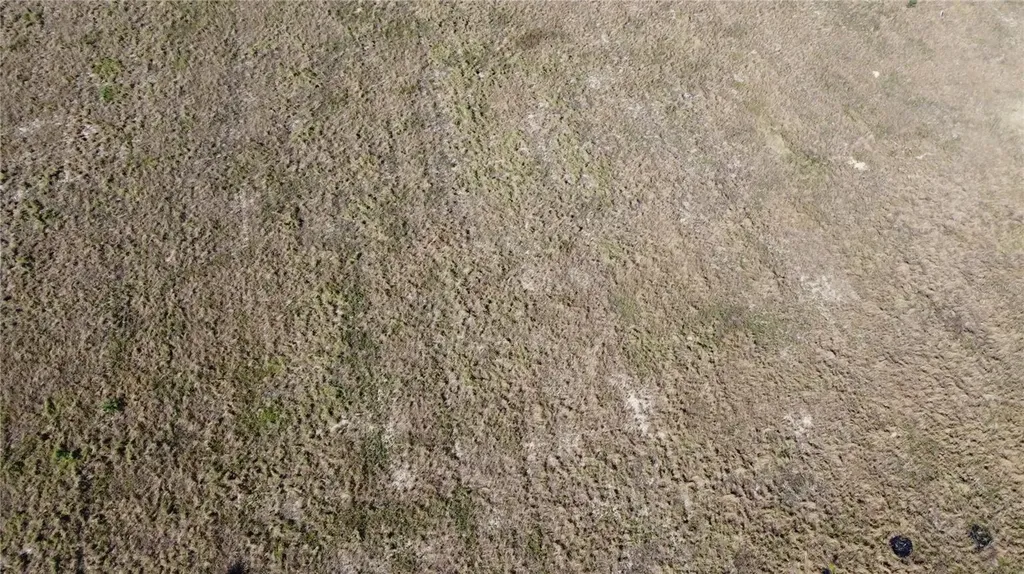 1615 Eo Douglas Avenue Sebring FL 33870