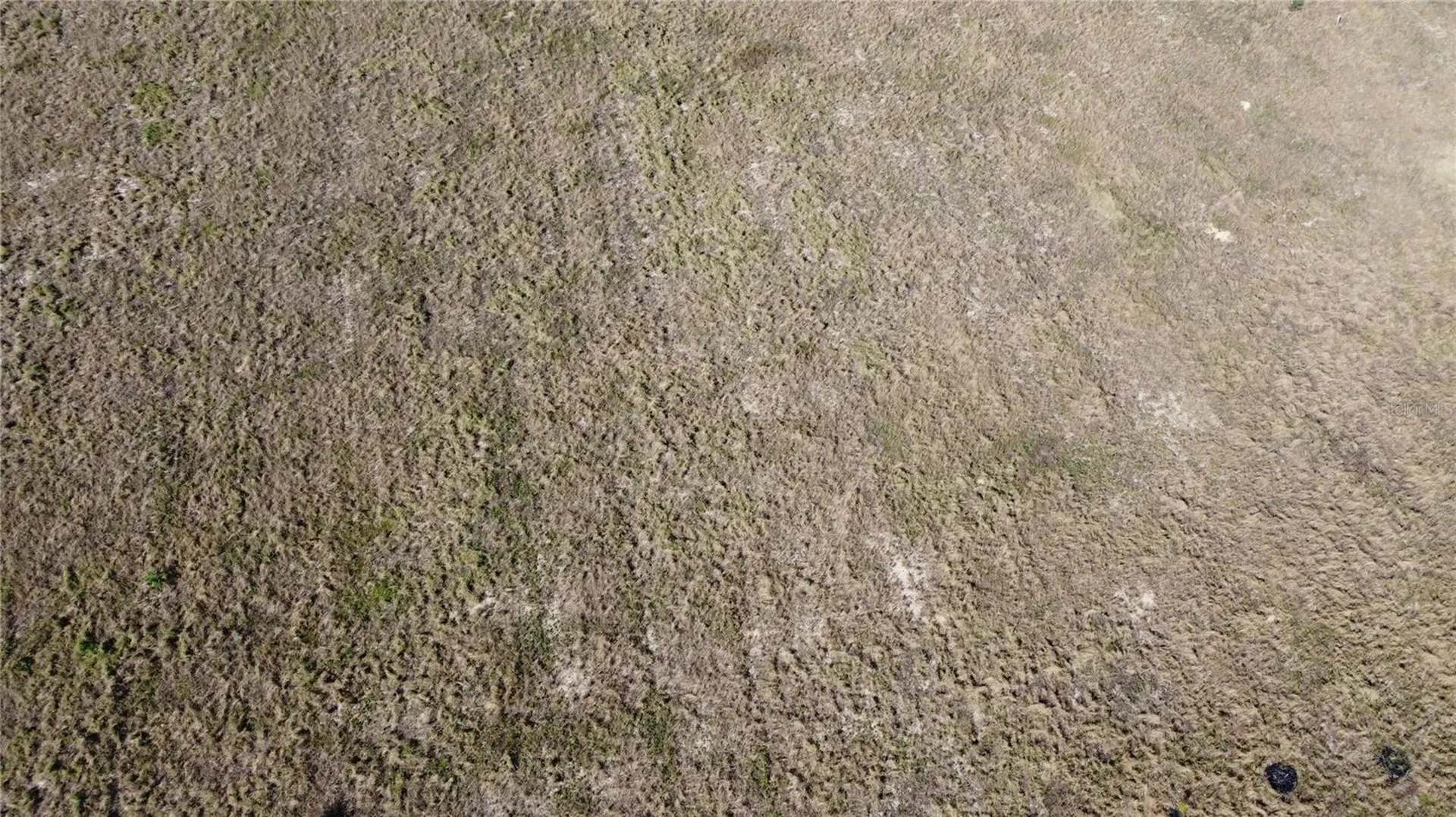 1615 Eo Douglas Avenue Sebring FL 33870