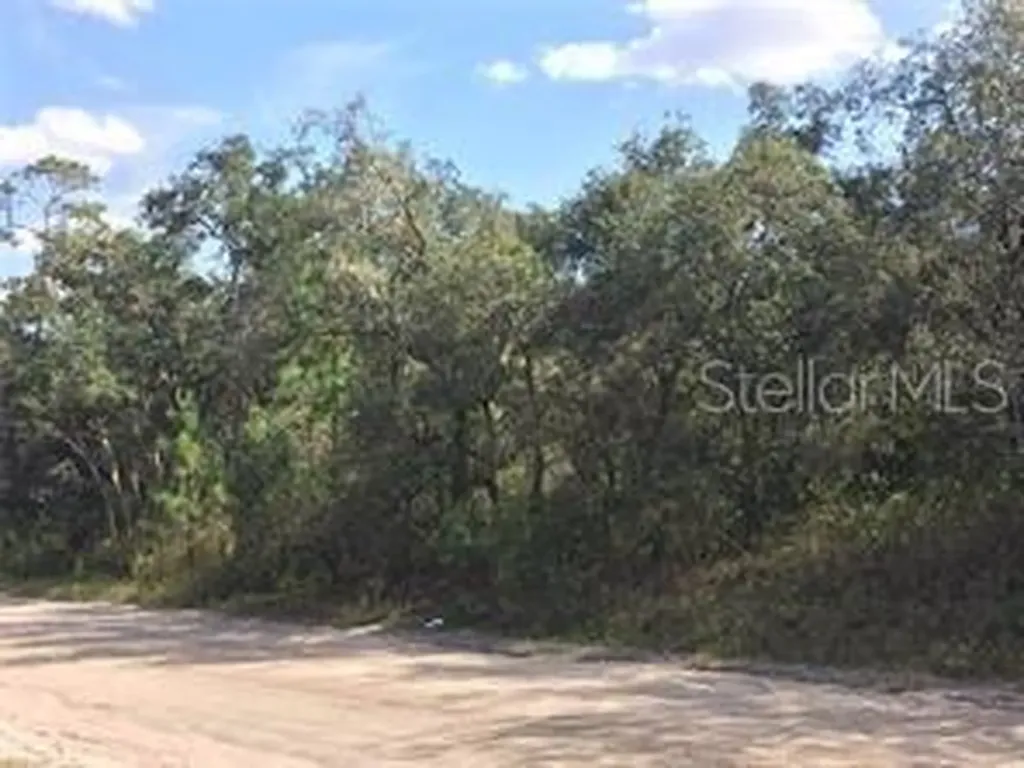 8600 Kiowa Trail Kissimmee FL 34747