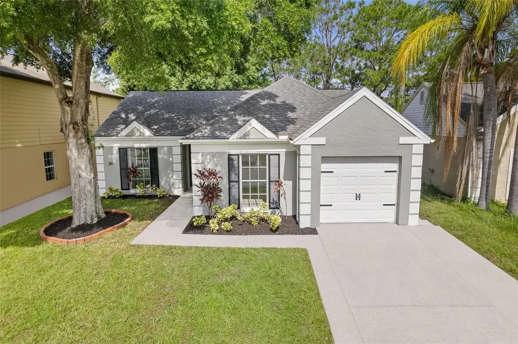 11014 Summer Drive Tampa FL 33624