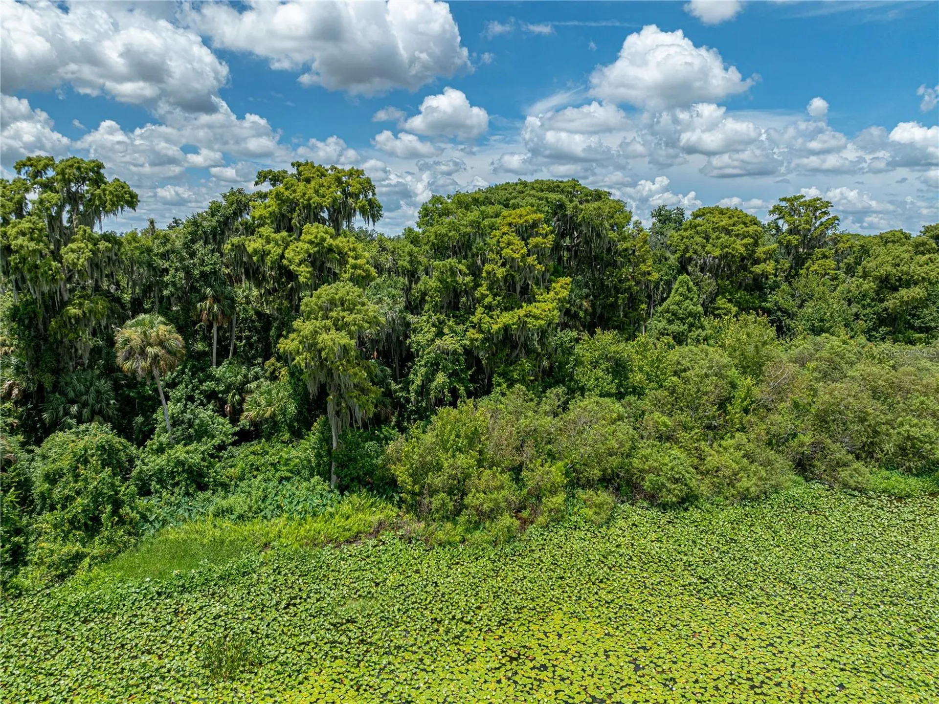 0 Timberlane Road Lake Wales FL 33898