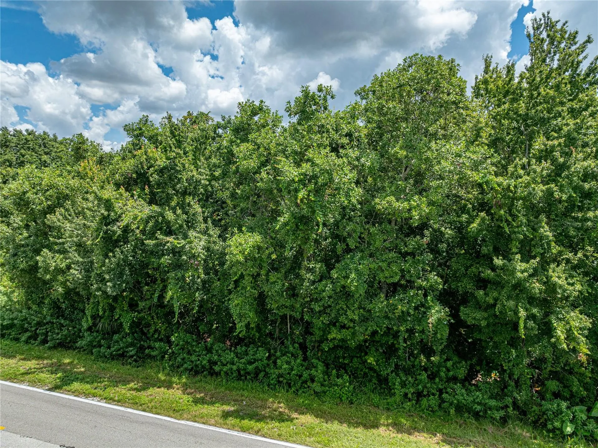 0 Timberlane Road Lake Wales FL 33898