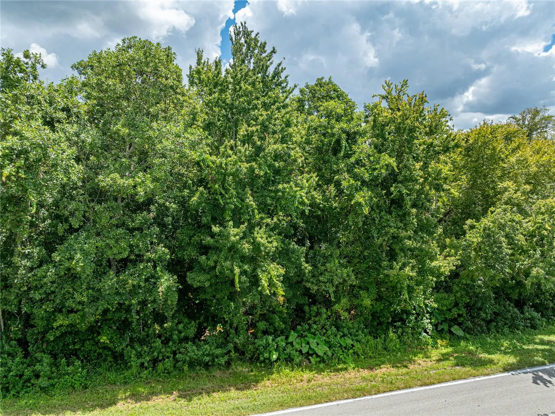 0 Timberlane Road Lake Wales FL 33898