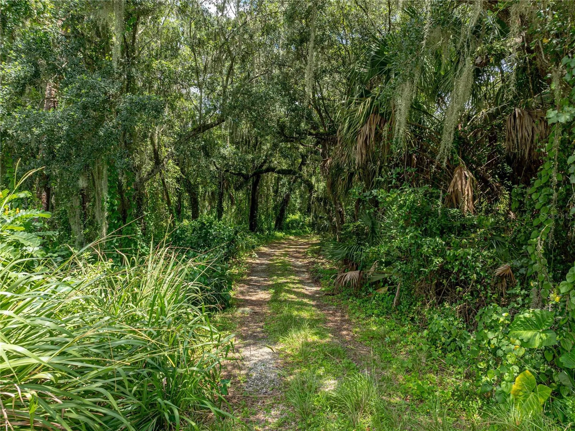 0 Timberlane Road Lake Wales FL 33898