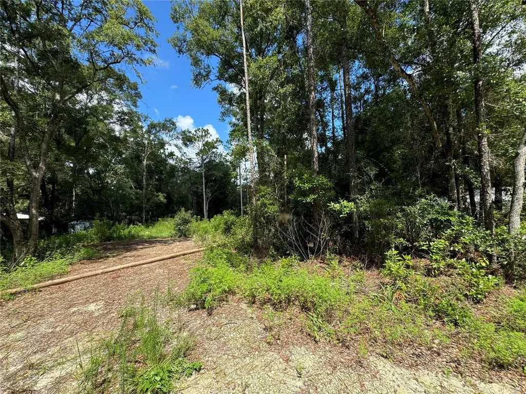 NW 58th Place Chiefland FL 32626
