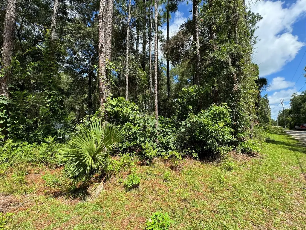 NW 58th Place Chiefland FL 32626