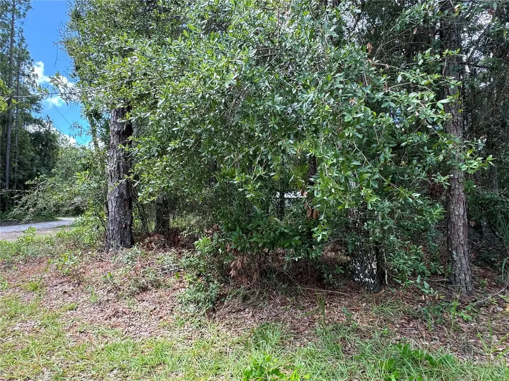 NW 58th Place Chiefland FL 32626