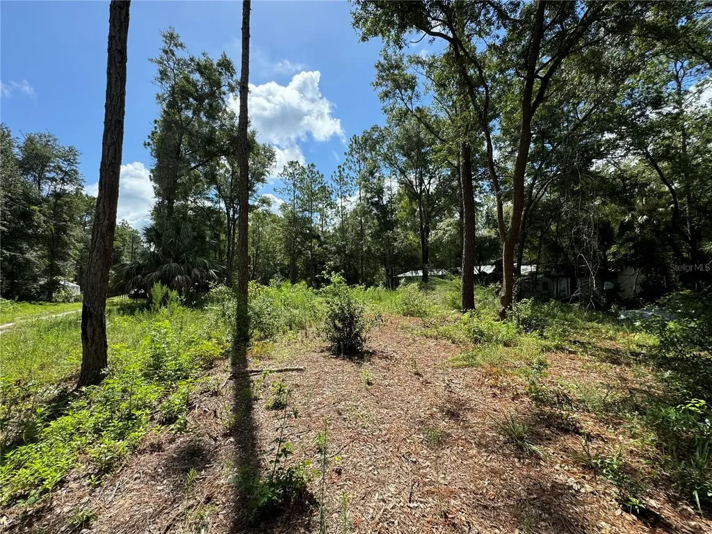 NW 58th Place Chiefland FL 32626