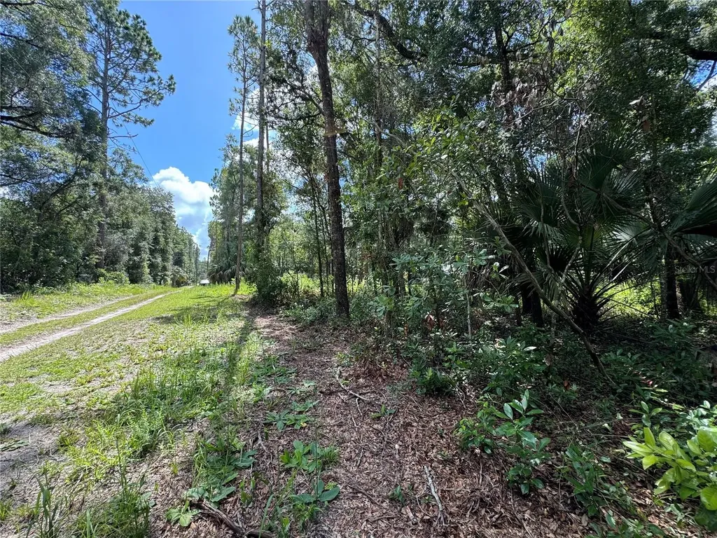 NW 58th Place Chiefland FL 32626