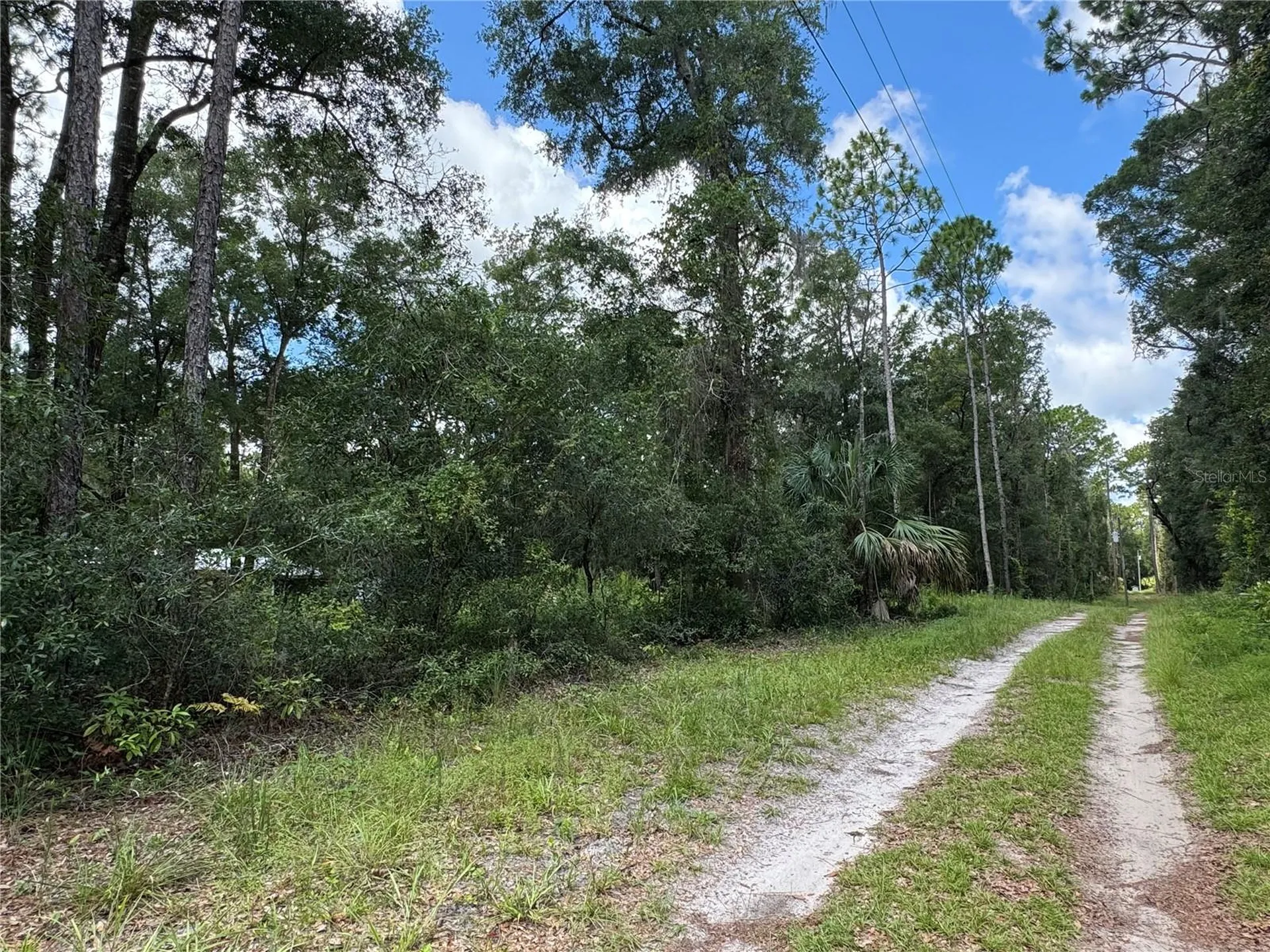 NW 58th Place Chiefland FL 32626