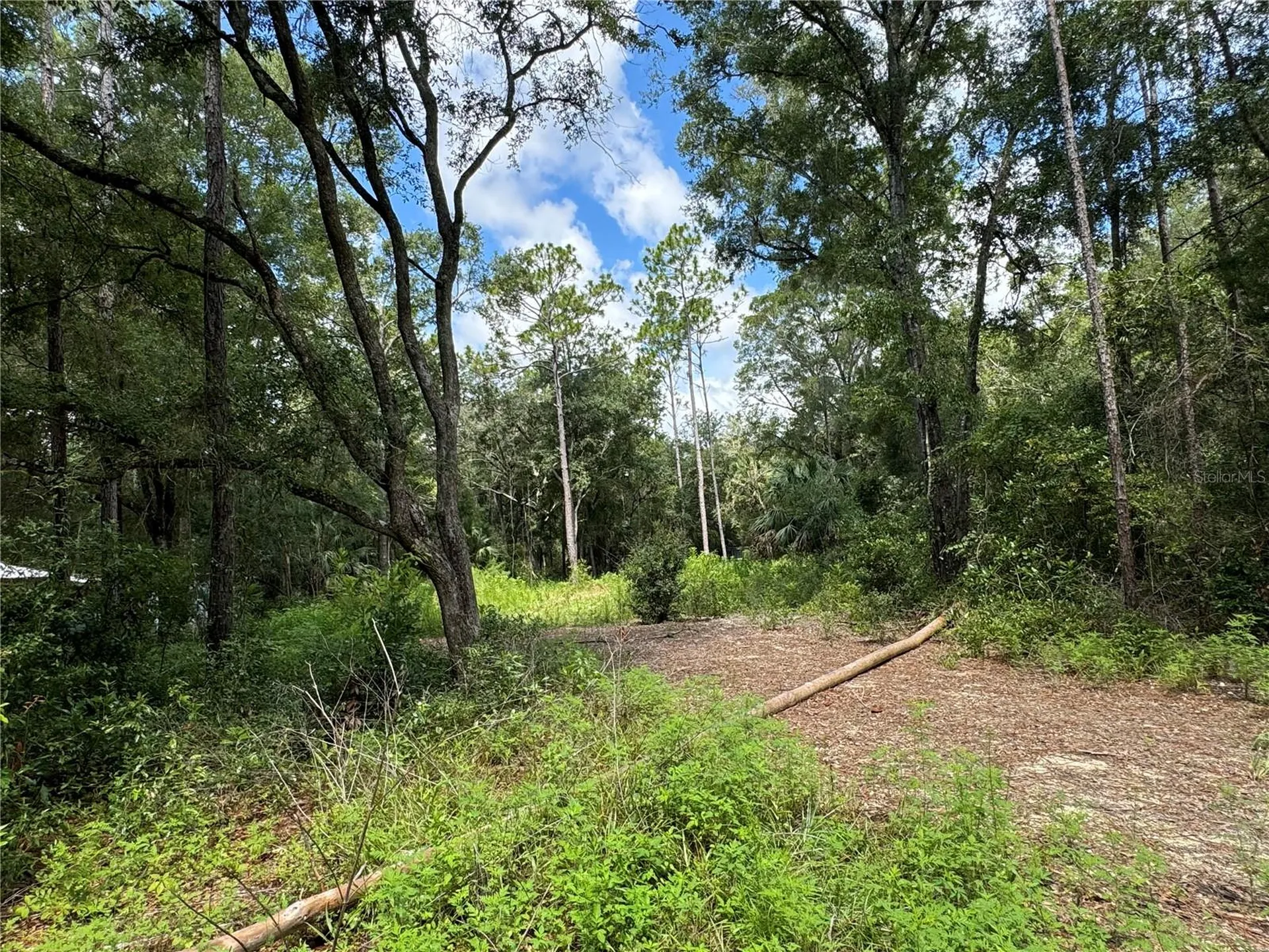 NW 58th Place Chiefland FL 32626