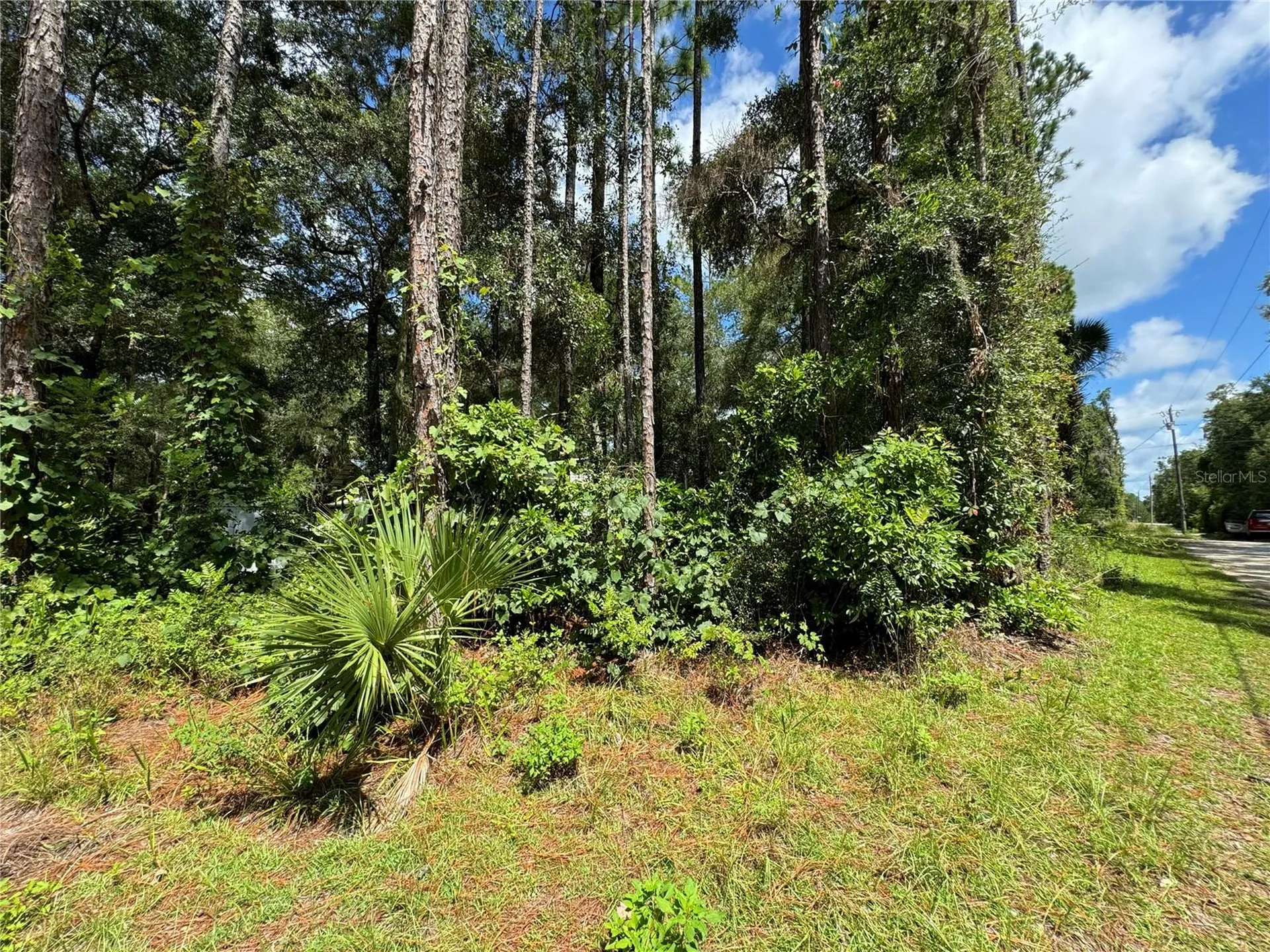NW 58th Place Chiefland FL 32626
