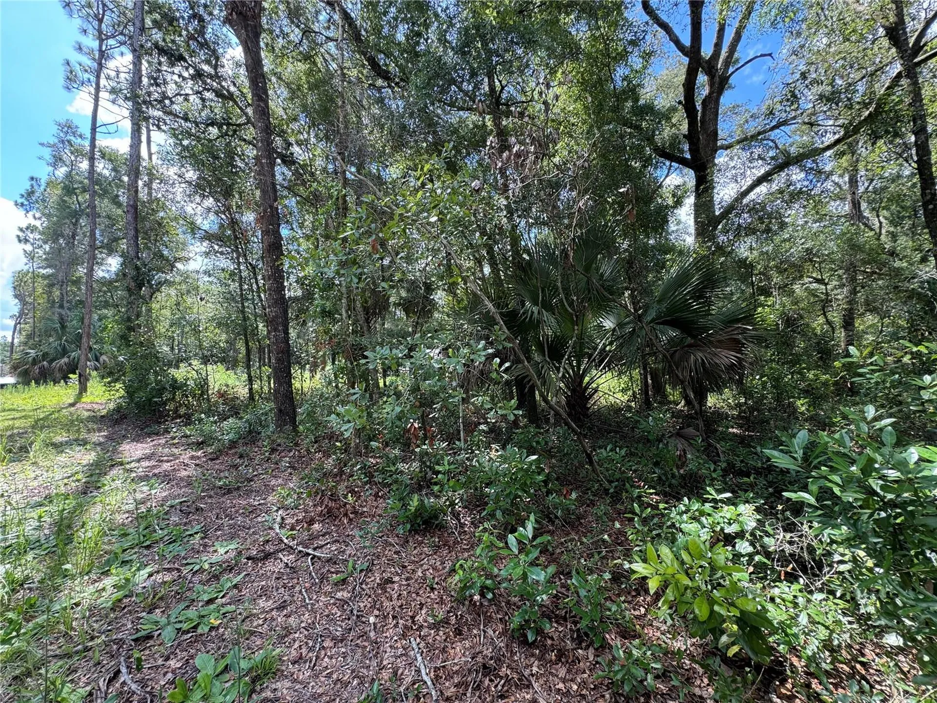 NW 58th Place Chiefland FL 32626