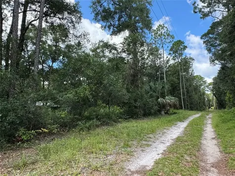 NW 58th Place Chiefland FL 32626