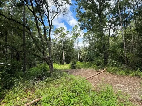 NW 58th Place Chiefland FL 32626