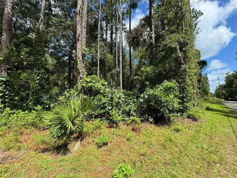 NW 58th Place Chiefland FL 32626