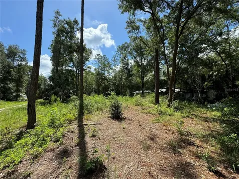 NW 58th Place Chiefland FL 32626