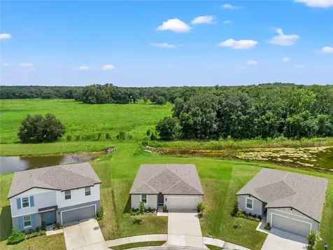 3058 Forrest Plum Court Zephyrhills FL 33540